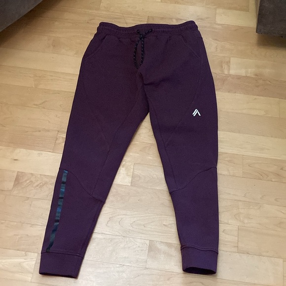 NWOT - ALPHALETE- Men’s Jogger Sport Sweatpants (L) - Merlot Colored - Picture 2 of 7